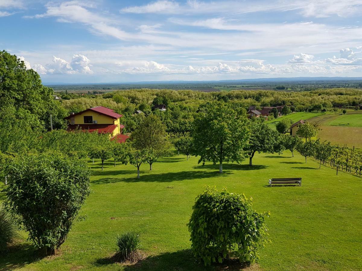 Guest House Blazevic Gornja Gracenica Exterior photo